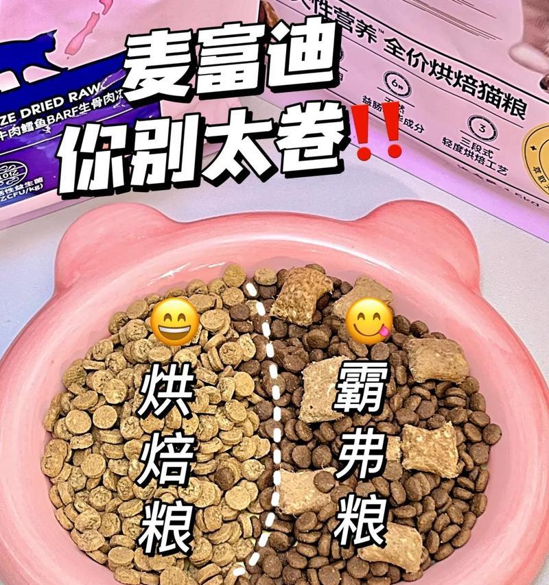 猫吐猫粮粉红色的血怎么回事？可能的原因是什么？