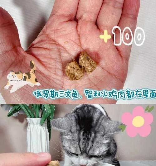 猫吐猫粮粉红色的血怎么回事？可能的原因是什么？
