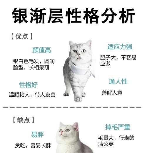 猫粮粗蛋白低的原因是什么