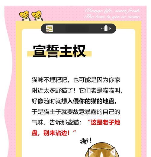 猫咪拉屎后不埋的原因是什么？