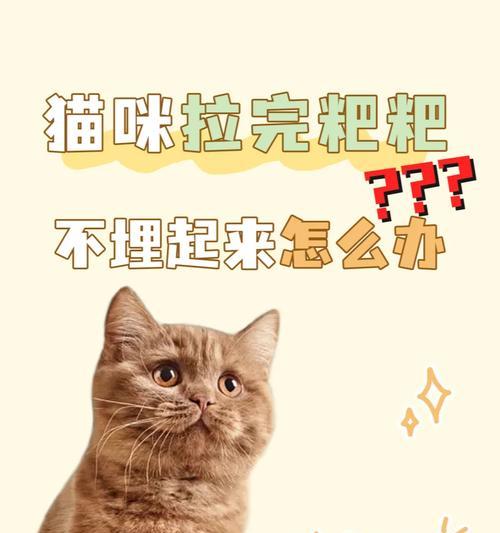 猫咪拉屎后不埋的原因是什么？