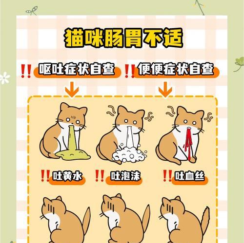 猫咪吃猫粮后呕吐拉肚子是什么原因？如何处理？