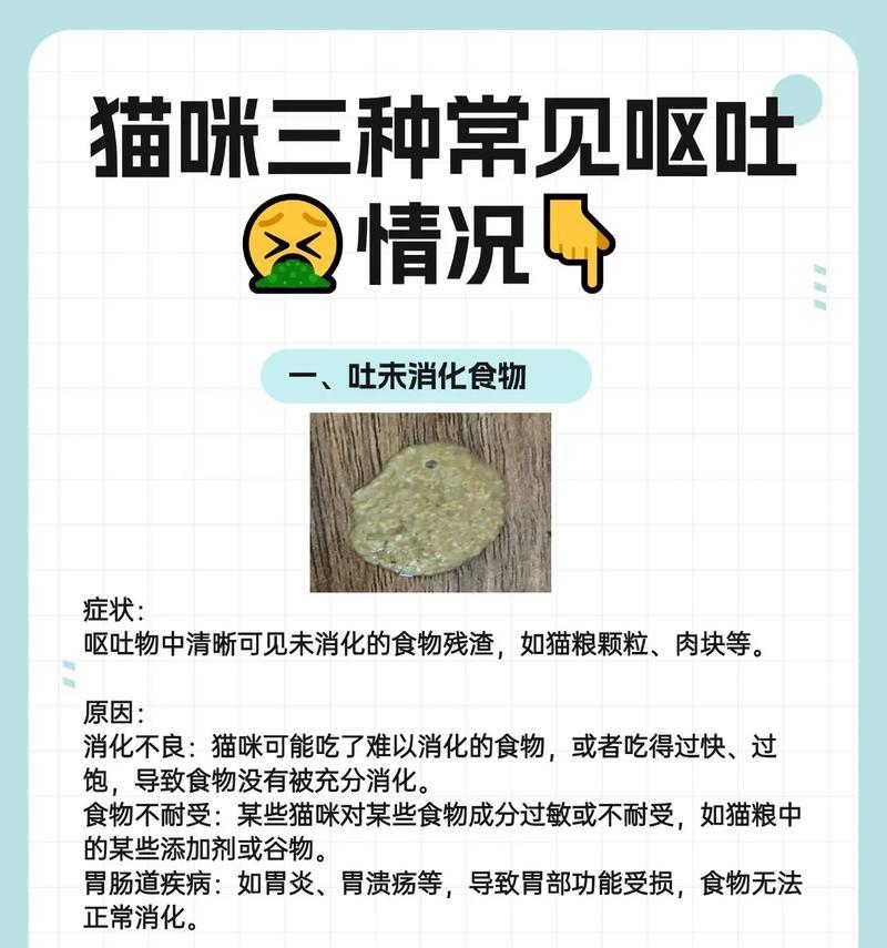 猫咪吃完就吐怎么办？哪种猫粮更适合？