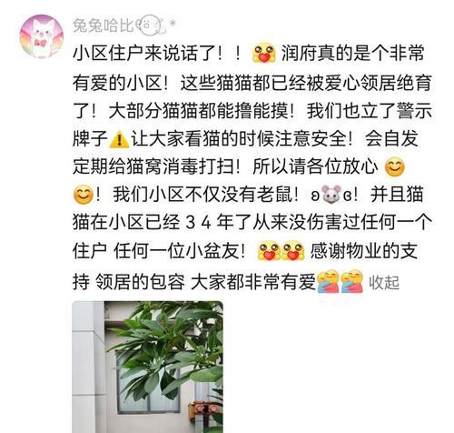 遇到小区大爷因猫粮问题责骂该如何应对？