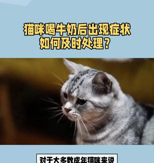 猫咪食用牛奶后的处理措施？