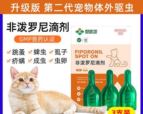 猫粮旁边有虫怎么办啊吃什么药
