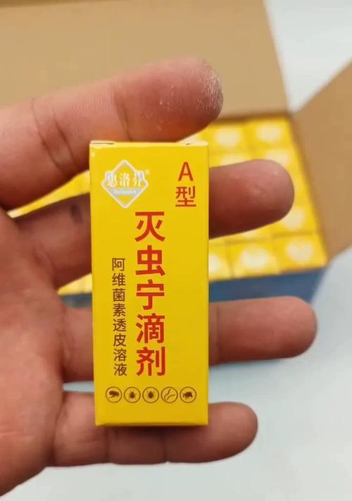猫粮旁边有虫怎么办啊吃什么药