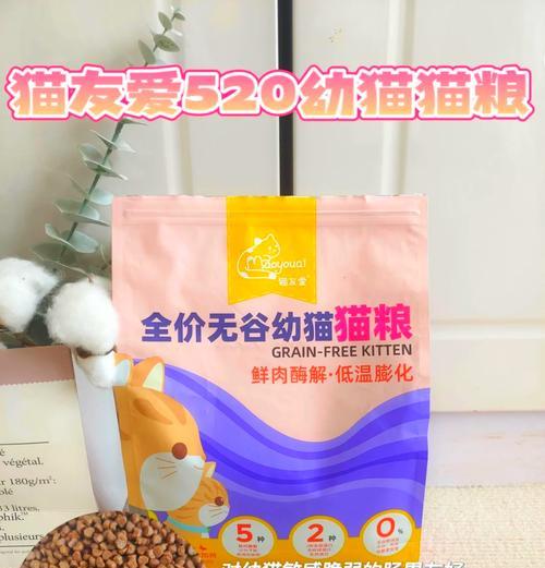 如何处理假装给猫一粒猫粮的突发情况？