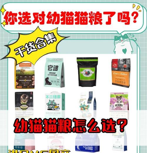 如何处理假装给猫一粒猫粮的突发情况？