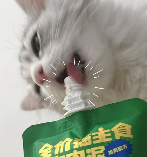 高冷小猫缺粮怎么应对？解决方法是什么？