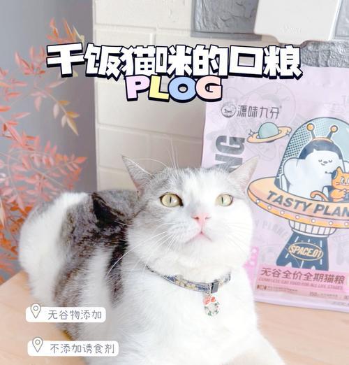 自制低敏猫粮的方法是什么？适合哪些猫咪？
