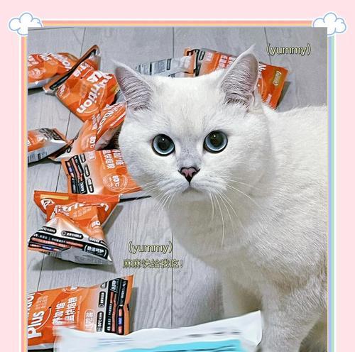 布兰德猫粮新款如何？用户评价和特点是什么？