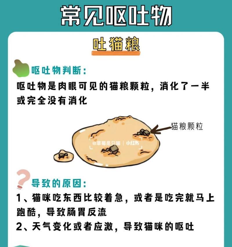 猫咪看到猫粮为何会呕吐？