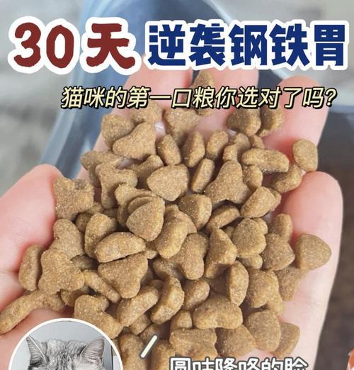 人类食用好主人猫粮会有什么后果？