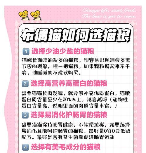 布偶猫适合哪种猫粮？如何选择健康猫粮？