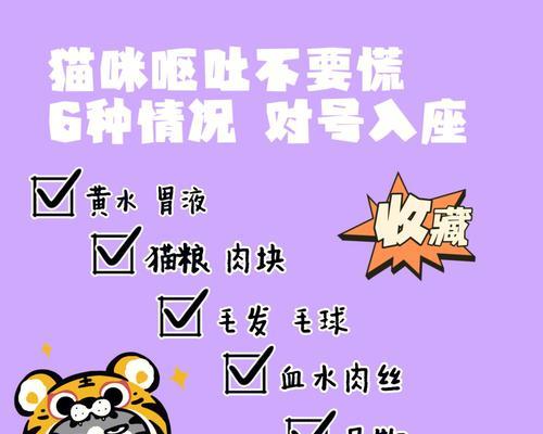 猫吐后想吃猫粮该如何处理？需要注意什么？