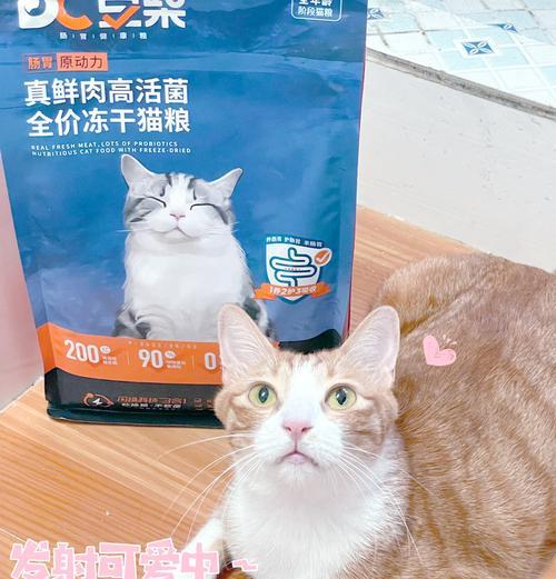 豆柴猫粮有哪些优缺点？消费者的真实反馈如何？