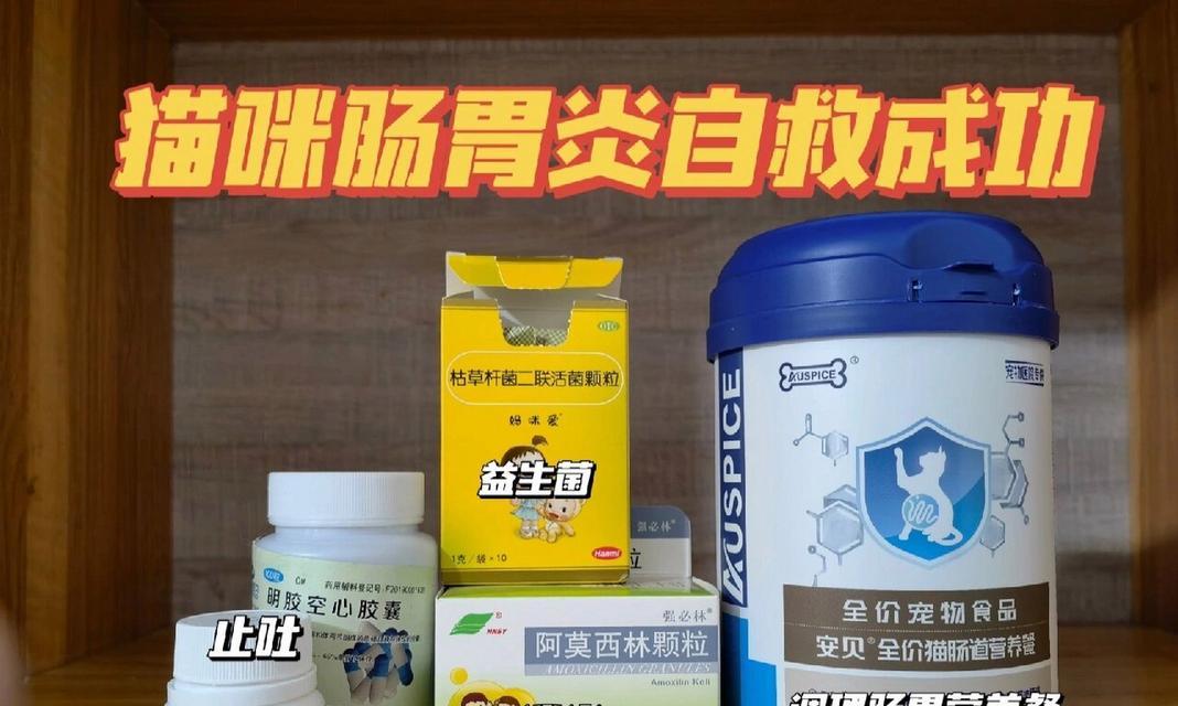 猫咪呕吐猫粮时应服用什么药物？