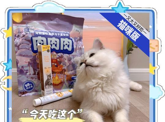 猫粮上有口水怎么办？需要给猫吃什么药？