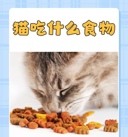 鸡胸肉混合猫粮如何保存？储存时应注意什么？
