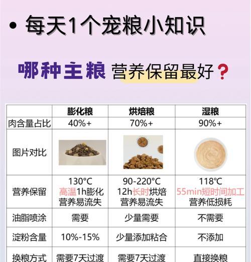 猫咪为什么吃干粮不吐而吃湿粮会吐？这是什么原因？