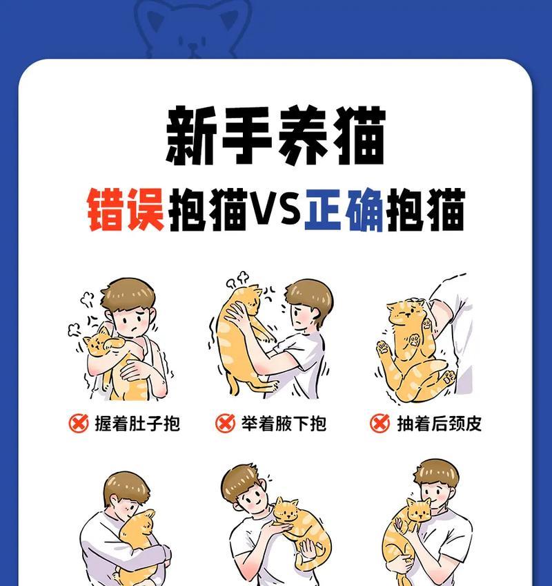 猫咪不让抱时应该怎样调整猫粮喂养？