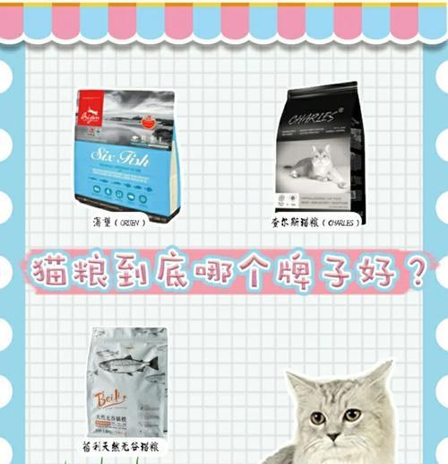 给小猫选择猫粮的困惑：哪种最适合？