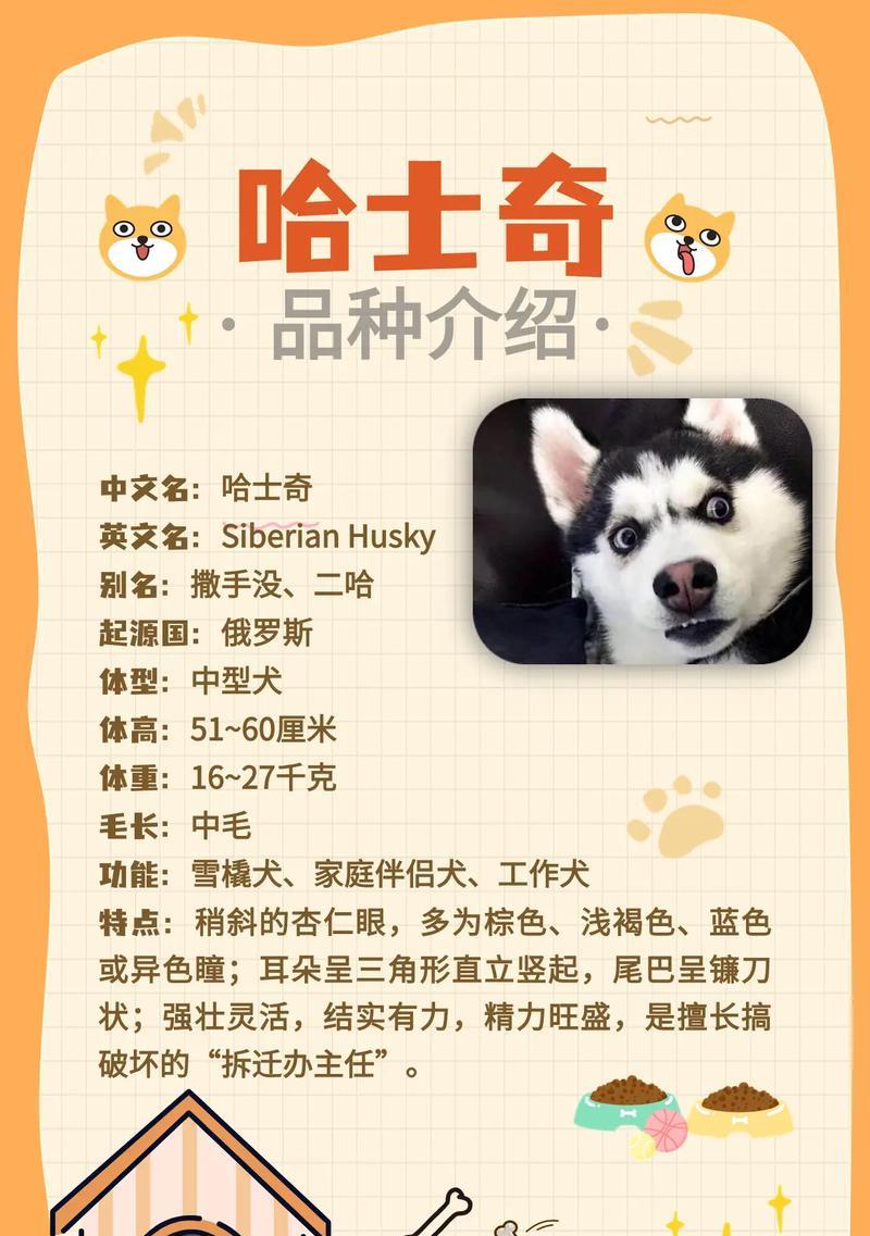 哈士奇是否属于烈犬？哈士奇的品种特性是什么？