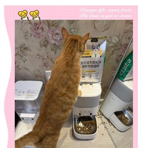 如何验证猫粮对猫咪发腮的效果？