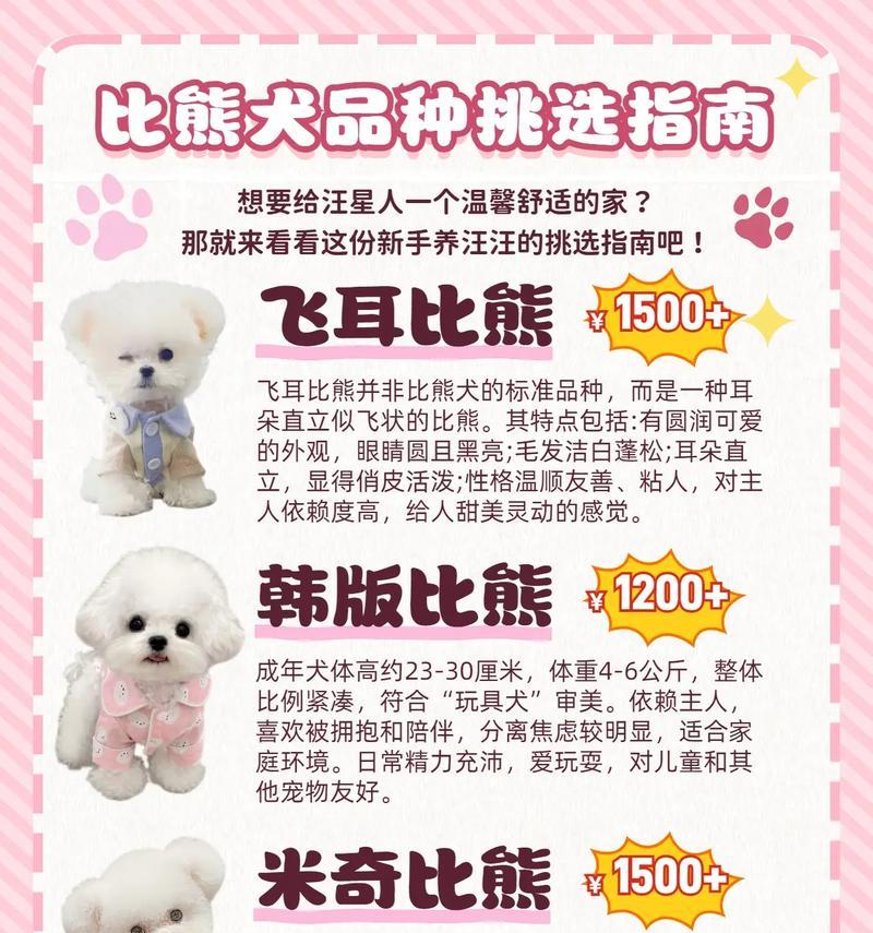 比熊犬二手出售价格是多少？