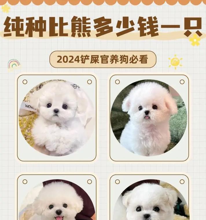 训练比熊犬的费用是多少? 训练比熊犬的费用是多少?