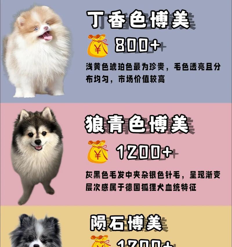 博美犬需要补充钙片吗？价格大概是多少？