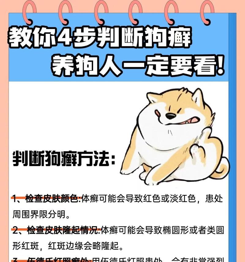 博美犬身上有癣时应如何处理？