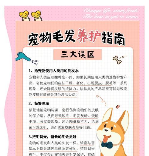 给狗狗剃毛有哪些注意事项？剃毛后如何护理？