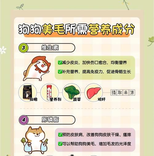 给狗狗剃毛有哪些注意事项?剃毛后如何护理? 给狗狗剃毛有哪些注意事项?剃毛后如何护理?