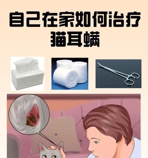 猫咪耳屎突然变化，应该怎么办（宠物耳朵保健知识大揭秘）