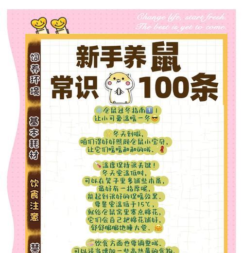 仓鼠冬天怎么保暖最实用？如何为仓鼠提供温暖的冬日环境？