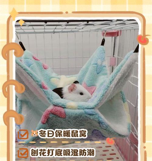 仓鼠冬天怎么保暖最实用？如何为仓鼠提供温暖的冬日环境？