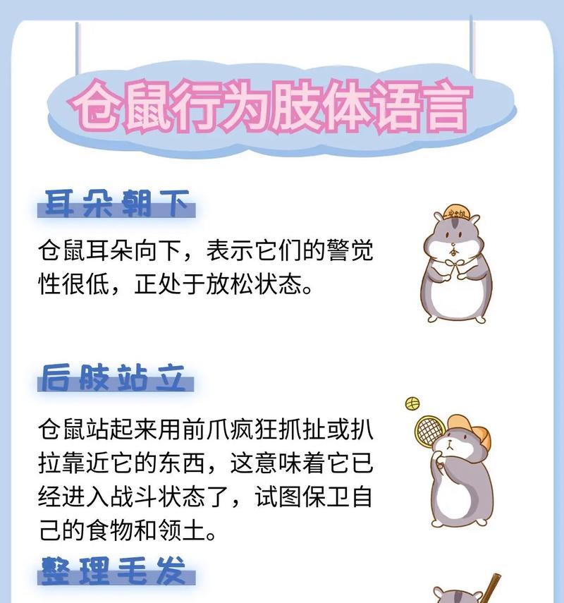 仓鼠如何培养黏人性格?养仓鼠有哪些注意事项? 仓鼠如何培养黏人性格?养仓鼠有哪些注意事项?