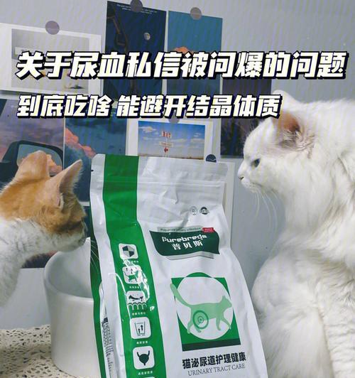 猫咪尿血总舔屁股,如何帮助猫咪舒缓症状(探究猫咪尿血的原因和处理方法) 猫咪尿血总舔屁股,如何帮助猫咪舒缓症状(探究猫咪尿血的原因和处理方法)