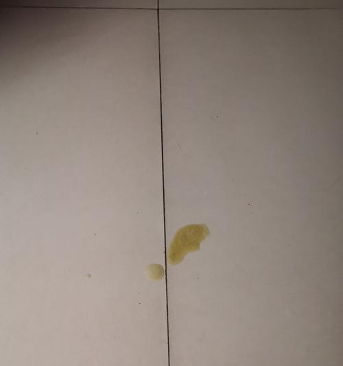 如何处理猫咪偶尔便血