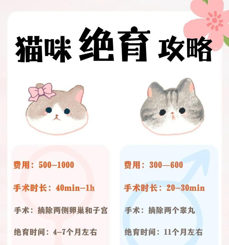 猫脐疝手术需要绝育吗？费用是多少？