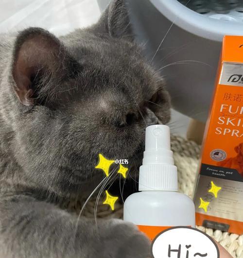 宠物猫咪如何预防猫癣(以猫咪为主的猫癣预防方法) 宠物猫咪如何预防猫癣(以猫咪为主的猫癣预防方法)