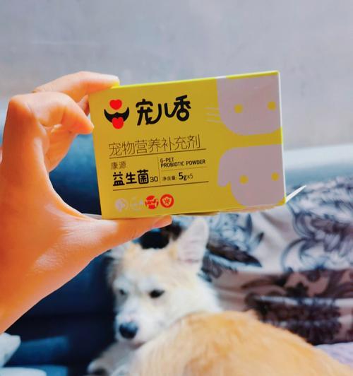 狗狗为什么吃了益生菌过一会要吐（探究益生菌对狗狗消化系统的影响）