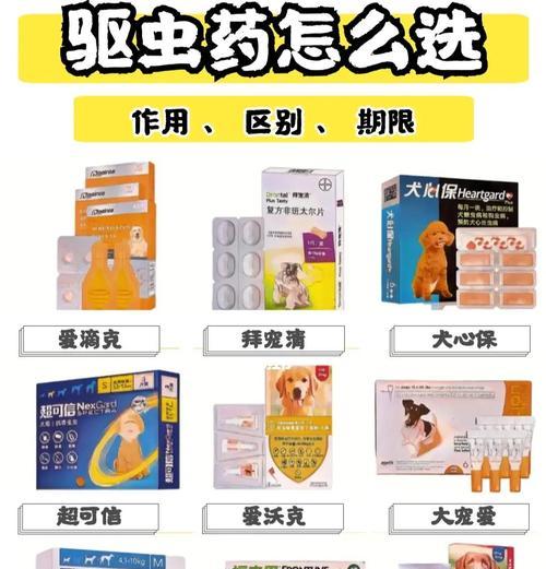 狗狗驱虫药的正确使用方法是什么?有哪些注意事项? 狗狗驱虫药的正确使用方法是什么?有哪些注意事项?