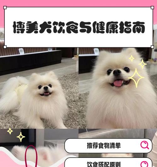 博美犬的日常饮食应该如何搭配？
