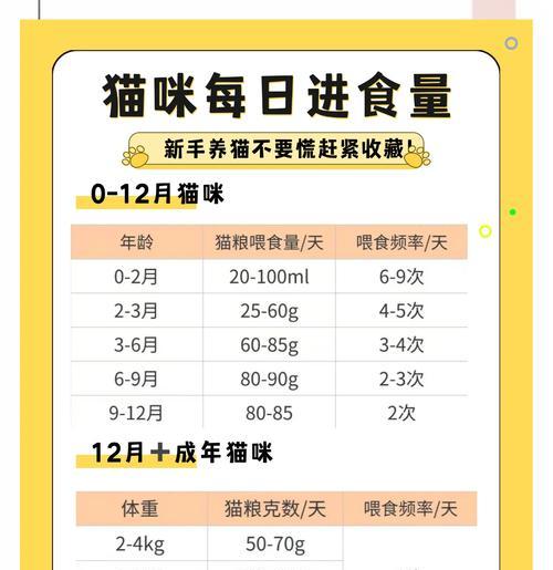 小猫怎么喂最省钱?经济实惠的小猫喂养方法有哪些? 小猫怎么喂最省钱?经济实惠的小猫喂养方法有哪些?