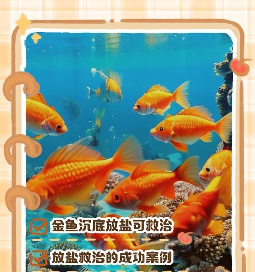 金鱼扎鱼缸底的原因是什么?如何解决? 金鱼扎鱼缸底的原因是什么?如何解决?