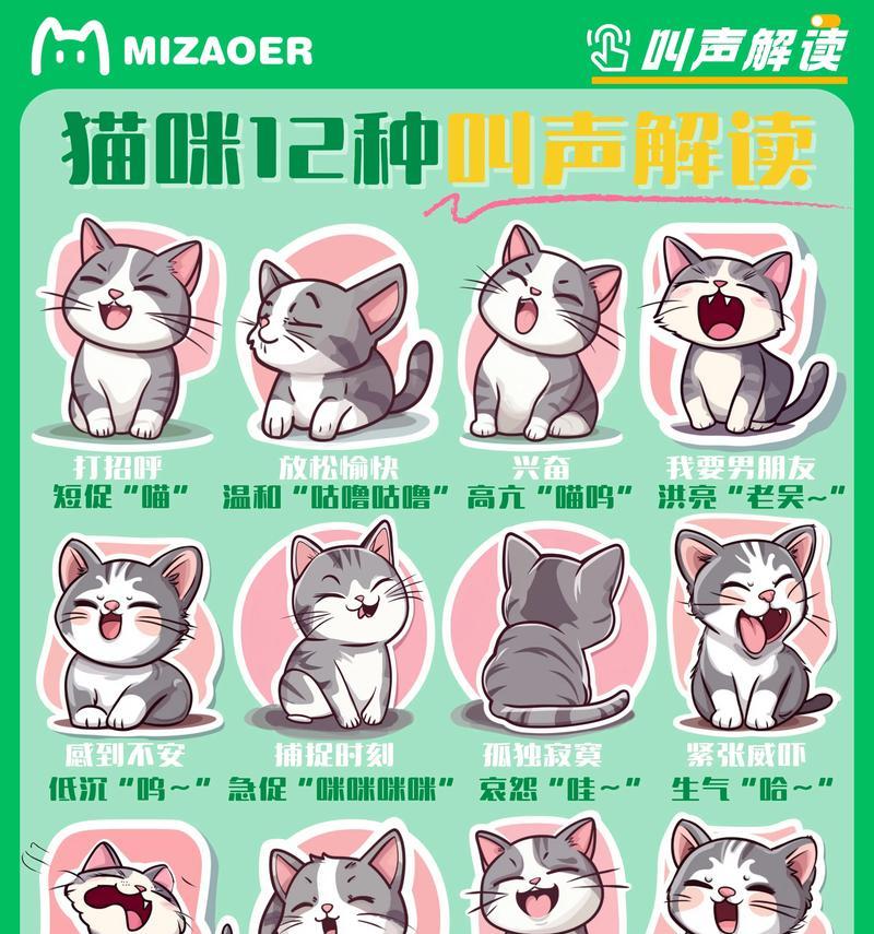 小猫的叫声为何被认为可爱? 小猫的叫声为何被认为可爱?