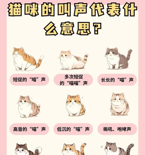 小猫的叫声为何被认为可爱? 小猫的叫声为何被认为可爱?